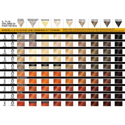 Golden Red Henna Hair Dye