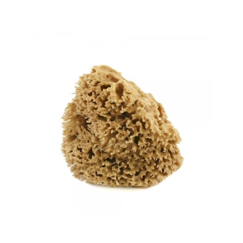 Cose Della Natura  Spugna arcipelago Lavata - 5/6 gr  Spugne e Accessori Corpo