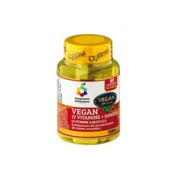 Complément Alimentaire Végan - 12 Vitamines + 3 Minéraux