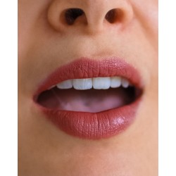2-en-1 Blush + Rouge à Lèvres Vintage Rose