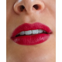 2-in-1 Blush + Lipstick Rubia Rose
