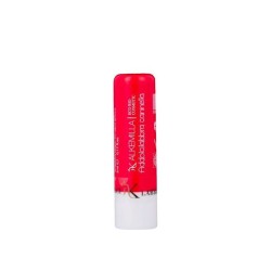 Lip Balm Bio - Addolcilabbra Cinnamon Alkemilla Lips  Available on Yumibio.com