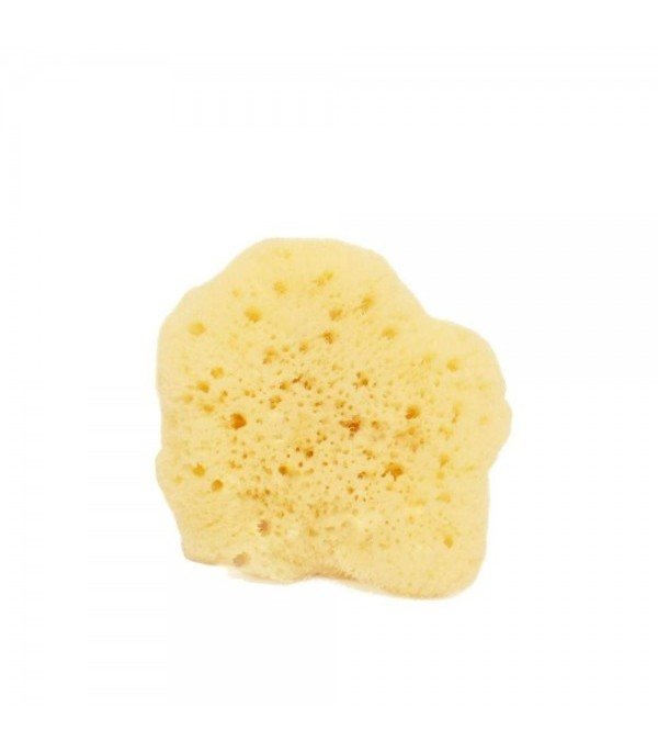 Fine Dama Sponge - 10 cm