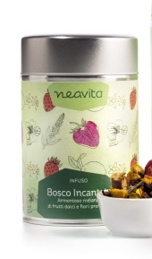 Infuso alla Frutta - Bosco Incantato