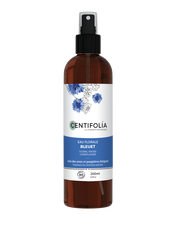L'eau florale de Bleuet