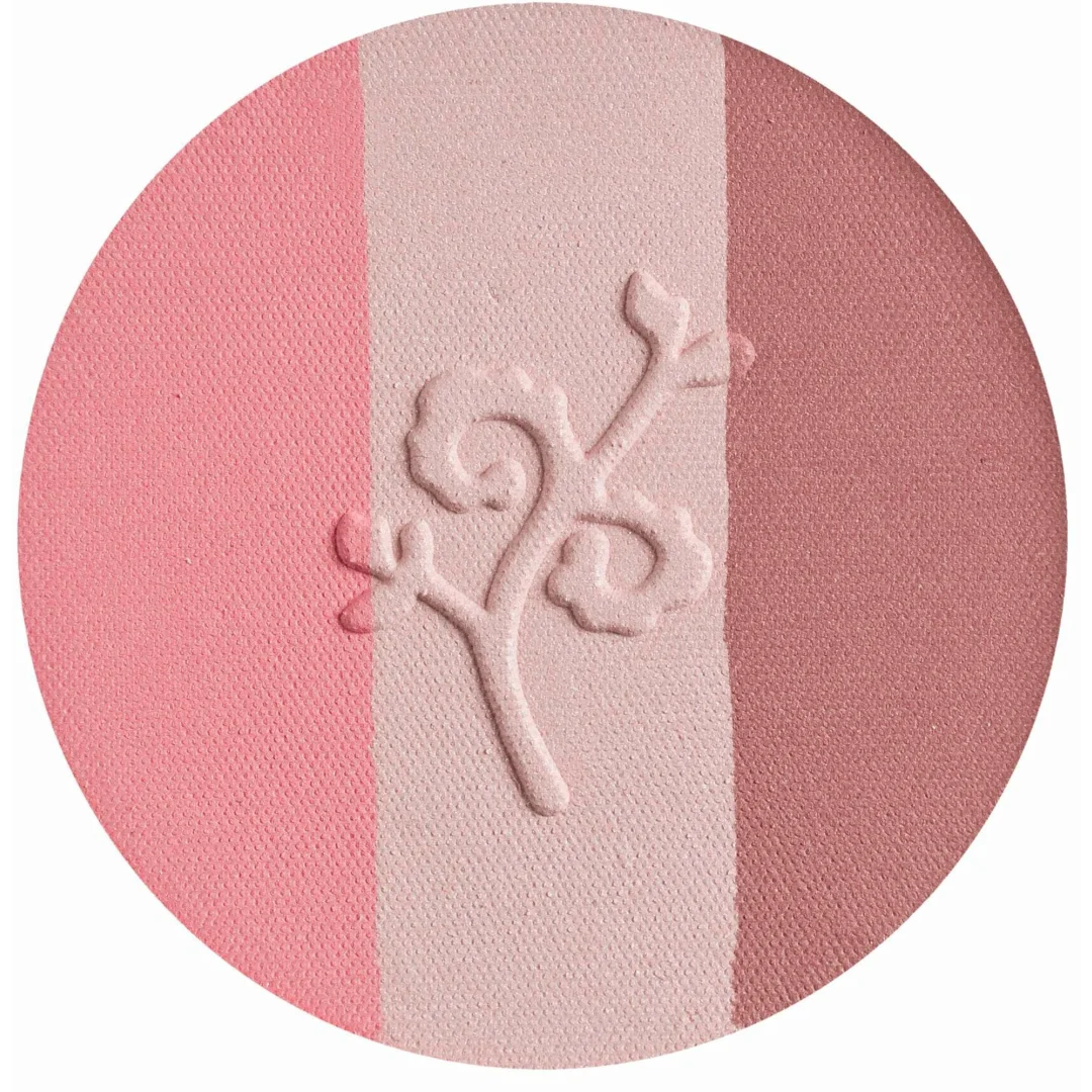 Blush Compatto Bio Pesca Rosa Chiaro Malva - Benecos