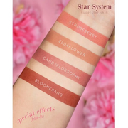 Blush star system rosa beige - Eldaflower - Neve Cosmetics