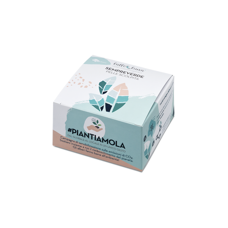Boîte-Cadeau Piantamola - Lis D'Eau