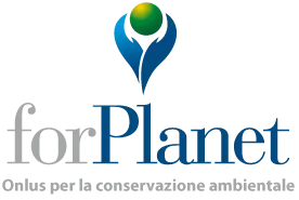 Collana con ciondolo a forma di globo blu e verde