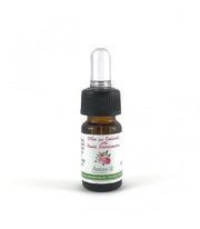 Olio per Cuticole