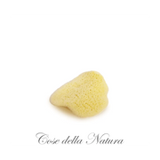 Flatty Sponge - Petalo di Mare - Cose Della Natura