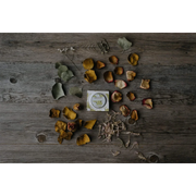 Gemme della Vita - Crema Sebo Equilibrante Anti età - Ethical Grace