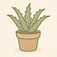 Baby Aloe inviate