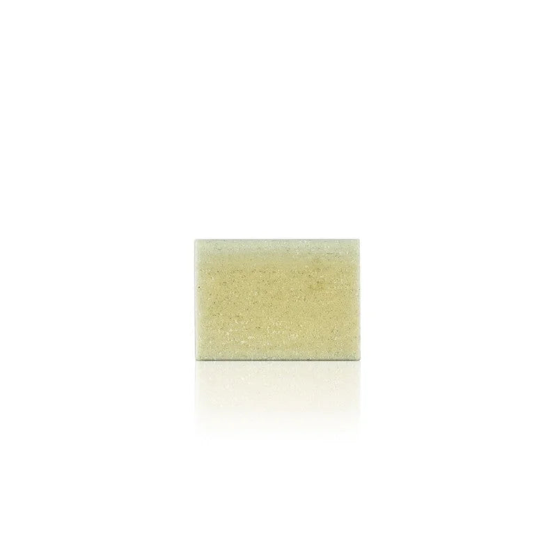 Mini Size Shampoo Solido Nutriente e Protettivo - Officina Naturae
