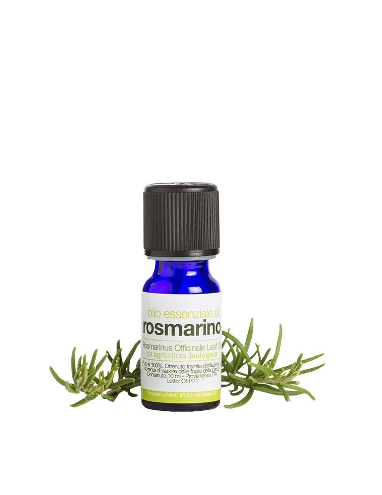 Olio Essenziale di Rosmarino – Energizzante e Dermopurificante