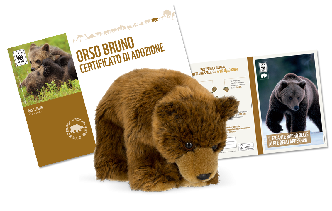 Ours en peluche WWF