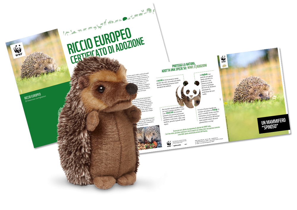 Peluche WWF - Riccio - Con contributo