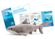 Peluche Peluche f-requin-avec contribution