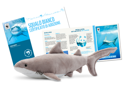 Peluche Peluche f-requin-avec contribution