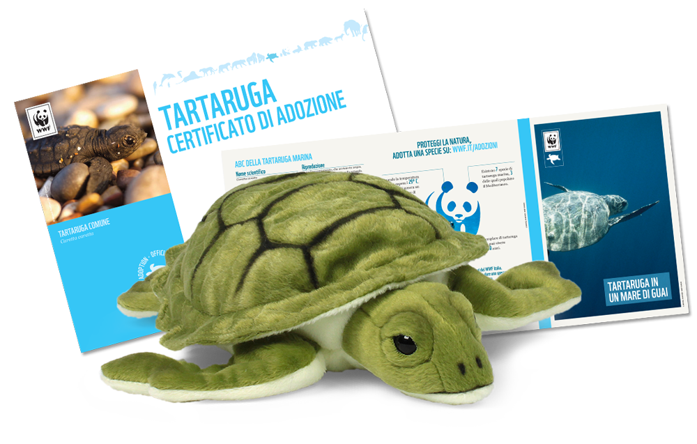 Peluche WWF - Tartaruga - Con contributo