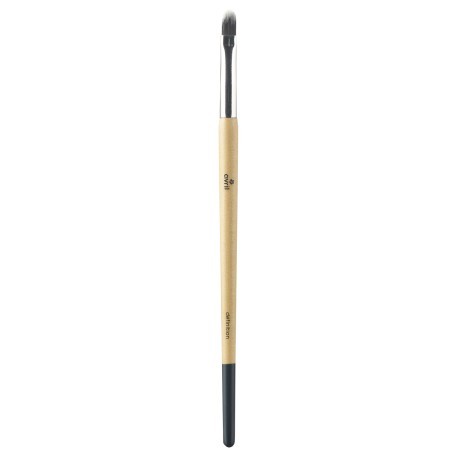 Definition Brush