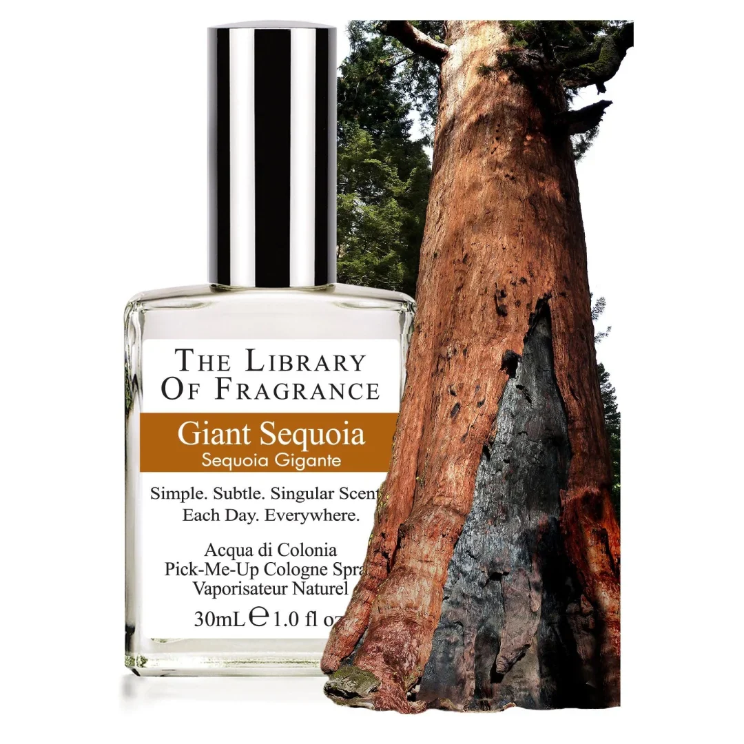 Profumo Naturale - Sequoia Gigante - The Library of Fragrance