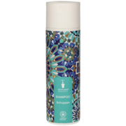 Shampoo Antiforfora con Estratto di Salvia - Bioturm