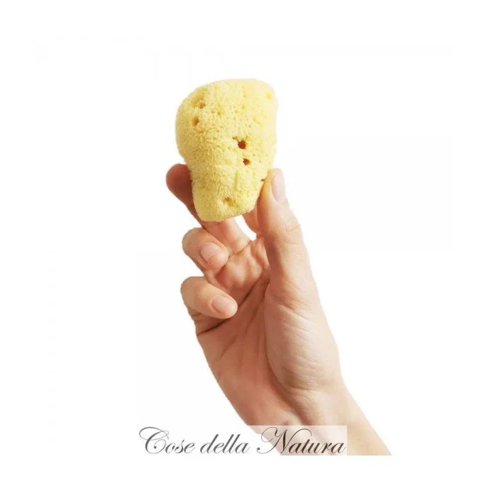 Spongella L - Spugna Mestruale 6/7 cm - Cose Della Natura