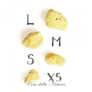 Spongella L - Spugna Mestruale 6/7 cm - Cose Della Natura