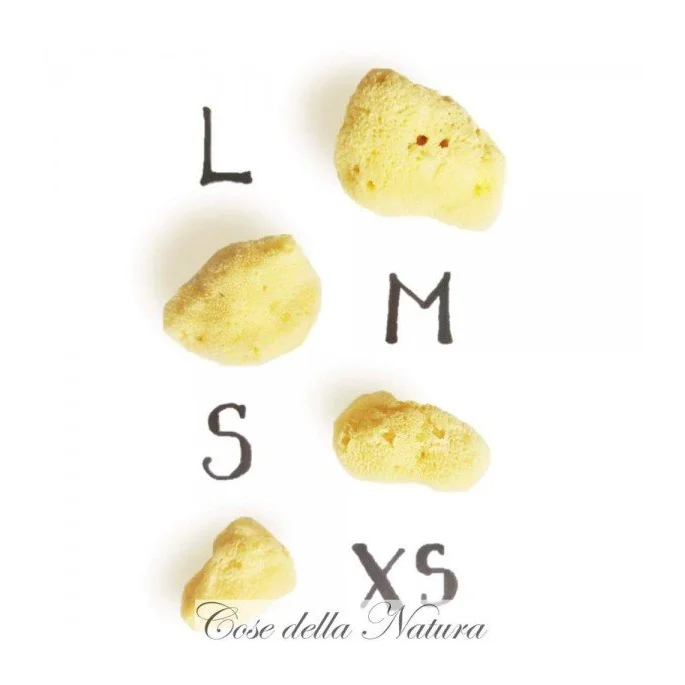 Spongella L - Spugna Mestruale 6/7 cm - Cose Della Natura