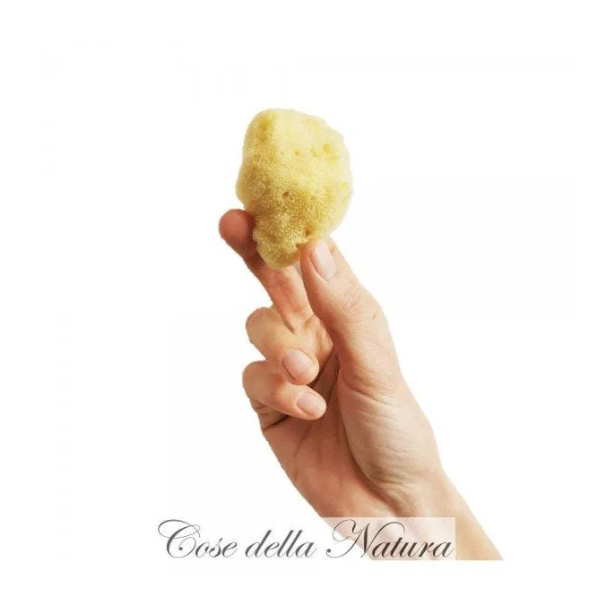 Spongella M - Spugna Mestruale 5/6 cm - Cose Della Natura