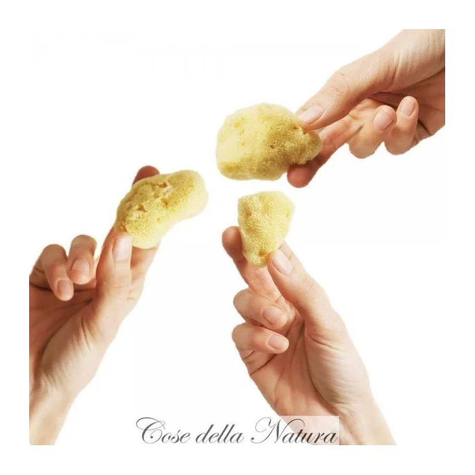 Spongella Mix Pack - Cose Della Natura