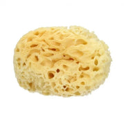 Spugna Arcipelago - 12 cm - Mood