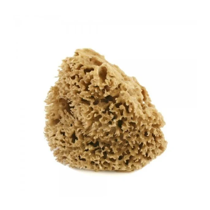 Spugna arcipelago Lavata - 4/5 gr - Cose Della Natura