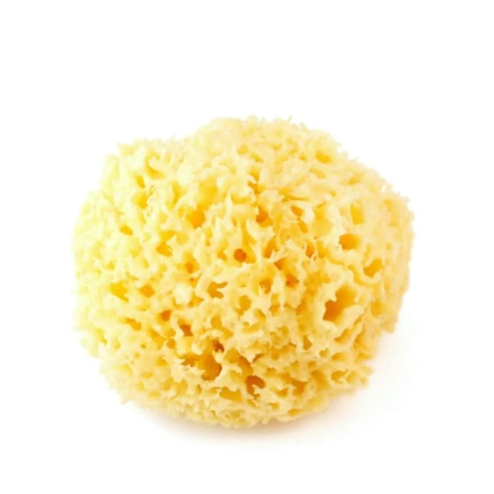 Spugna Arcipelago Sbiancata - 8/10 gr - Cose Della Natura