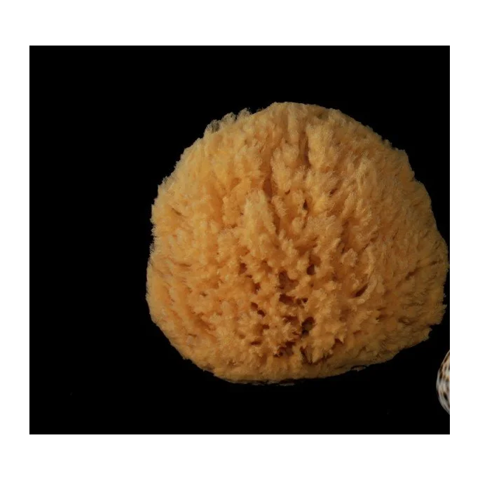 Spugna Barriera Corallina Naturale 10-11 cm - Rosenfeld
