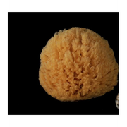 Spugna Barriera Corallina Naturale 12-13 cm - Rosenfeld