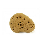 Spugna fine dama Lavata 5-6 gr - Cose Della Natura