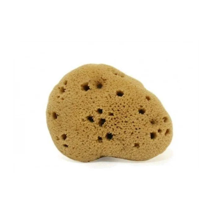 Spugna fine dama Lavata 5-6 gr - Cose Della Natura