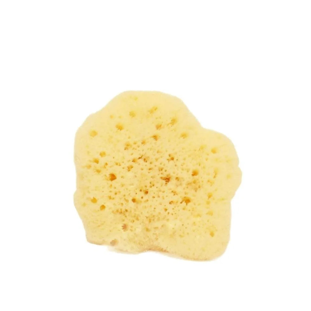 Spugna Naturale Fine Dama Sbiancata - 5/6 gr - Cose Della Natura