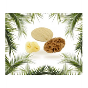 Starter Kit Viso - Cose Della Natura