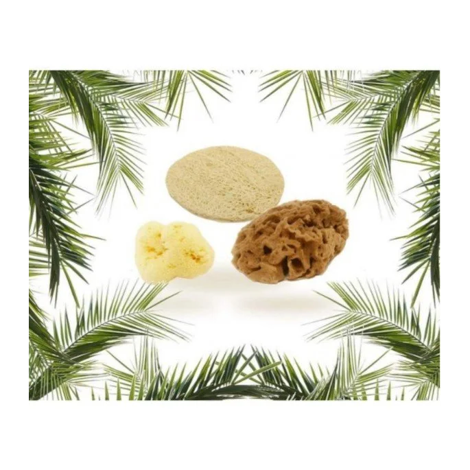 Starter Kit Viso - Cose Della Natura