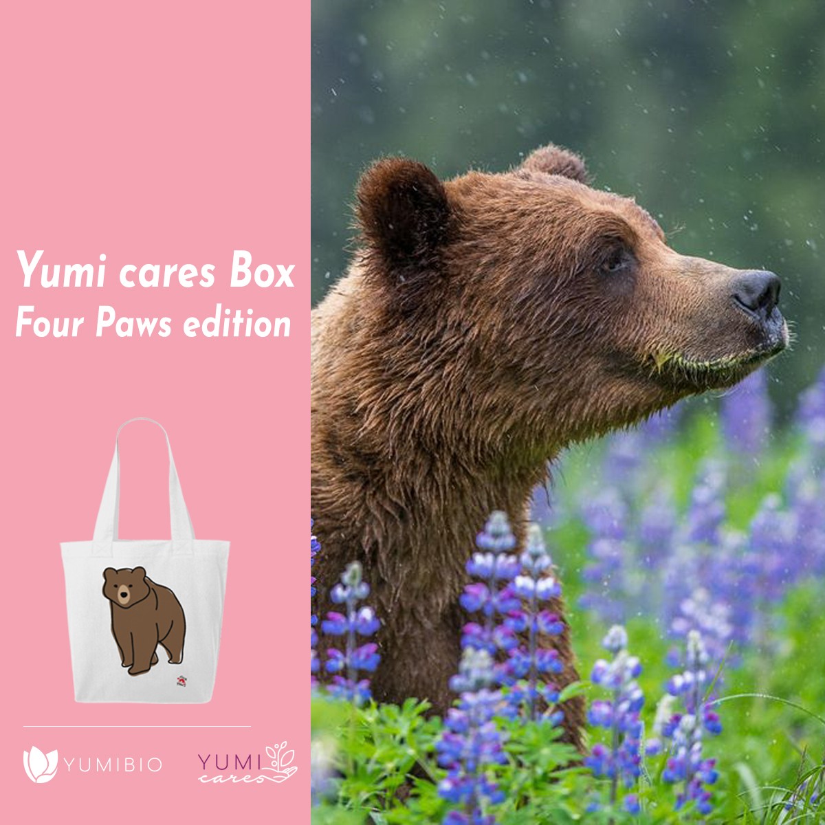 Yumi cares Box - Four Paws edition
