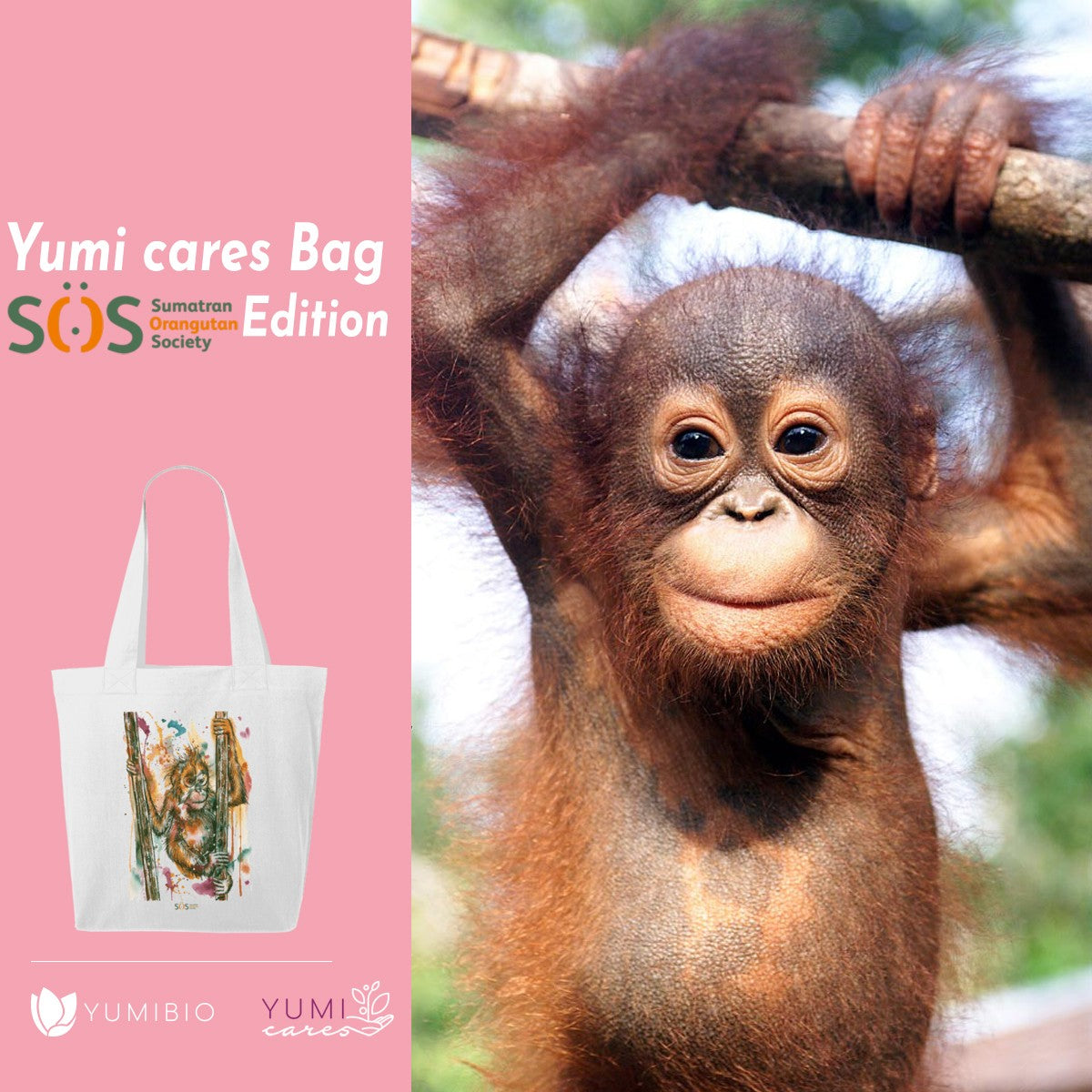 Yumi cares Box  - Sumatran Orangutan Society