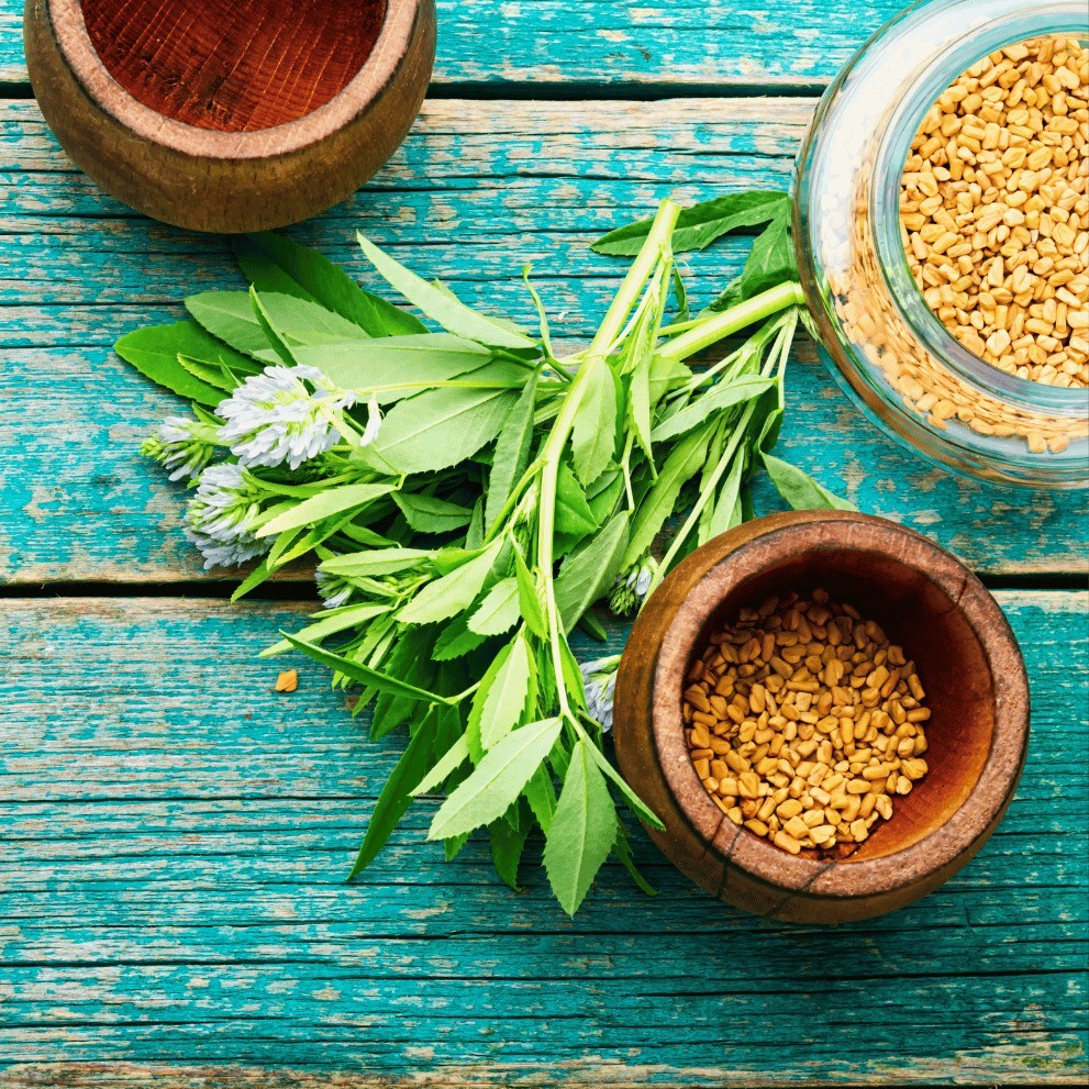 Fieno Greco: usi cosmetici e proprietà del methi