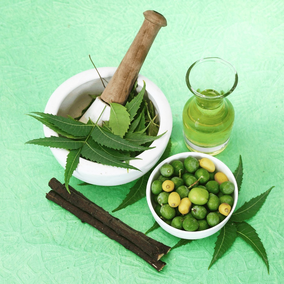 Neem: proprietà cosmetiche dell'albero dei miracoli