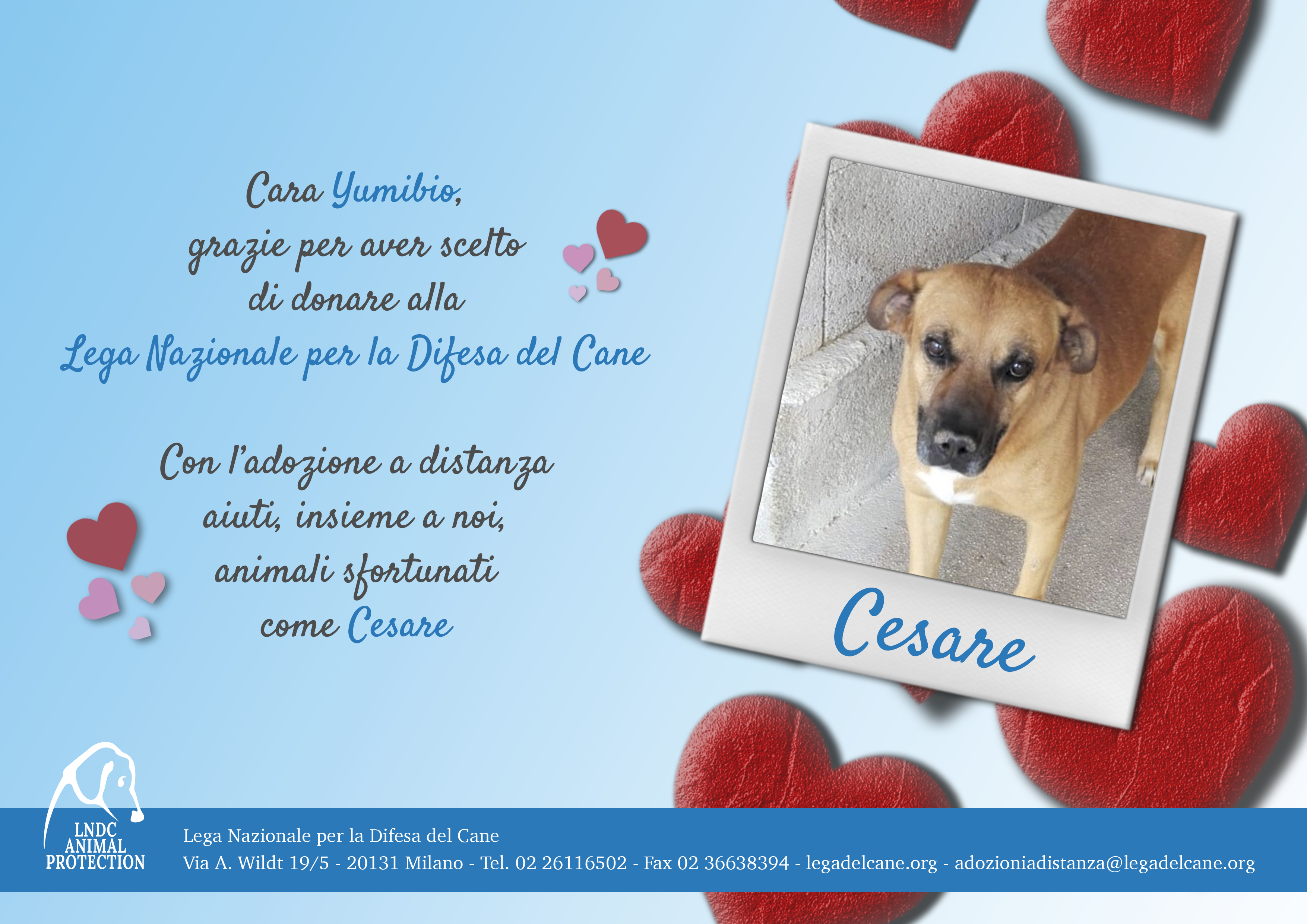 Cesare
