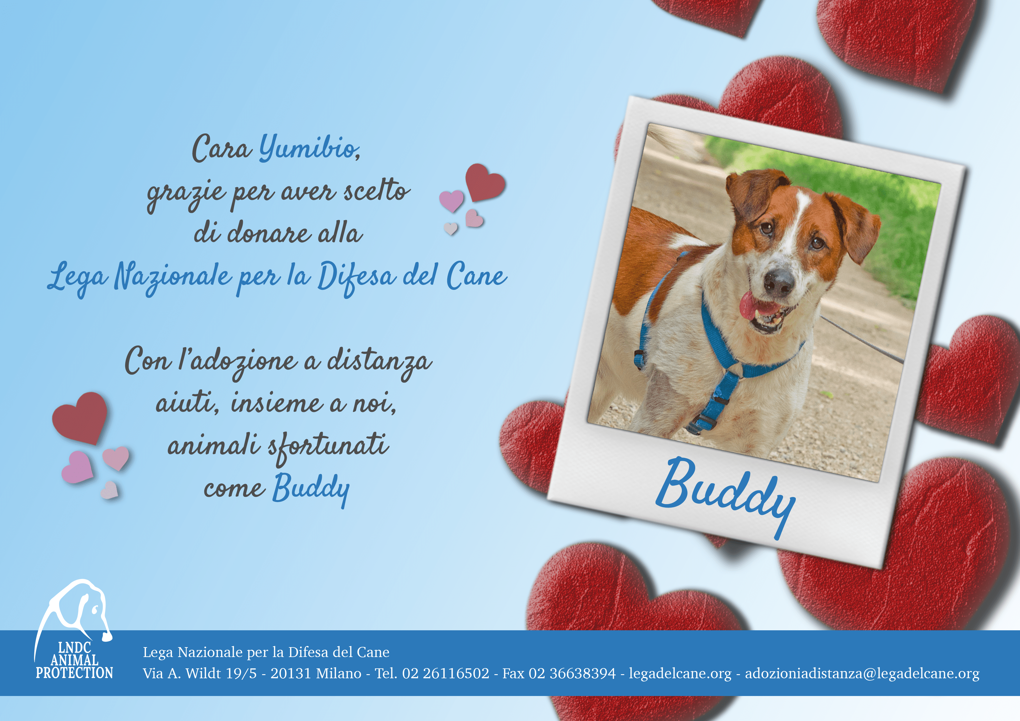 Buddy
