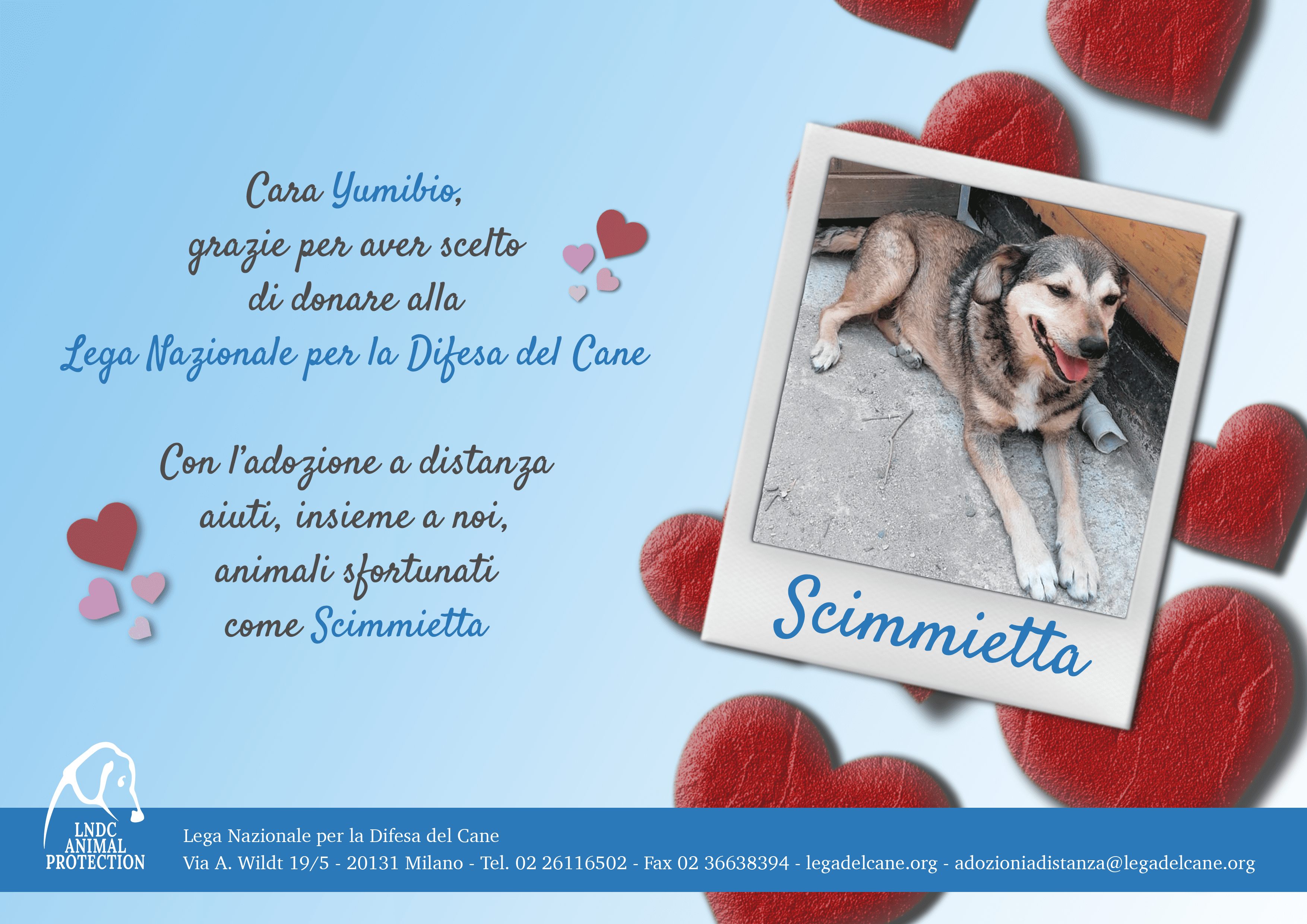 Scimmietta