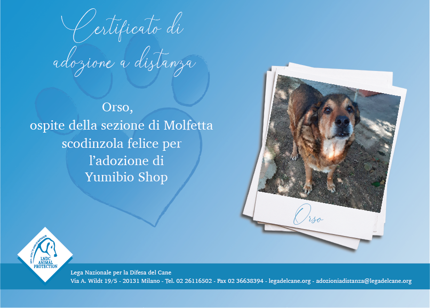 Orso